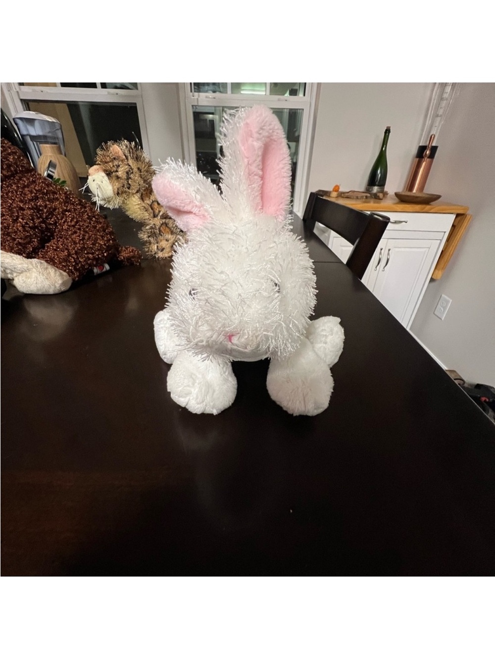 Webkinz Bundle x5